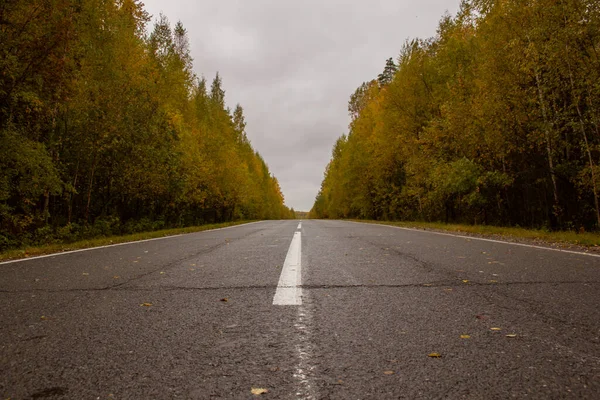 Piste Automne Frontière Okrug Autonome Khanty Mansiysk Région Sverdlovsk Russie — Photo