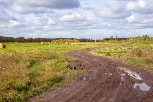 Vägen Genom Höstfälten Grusvägen Slingrar Sig Genom Höstfälten Med Klippt — Stockfoto