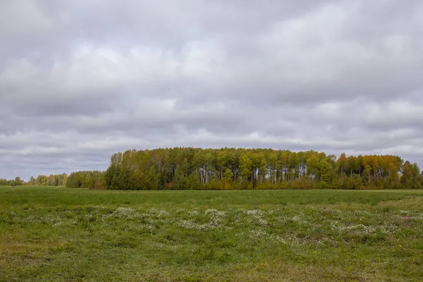Herbstliche Felder Ural Felder Einem Sonnigen Herbsttag Russland Gemähtes Heu — Stockfoto
