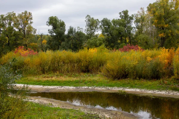 Herbstwald Über Einem Zugefrorenen Bach Herbstlandschaft Der Stadt Shadrinsk Kurgan — Stockfoto