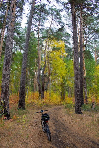Cycling Autumn Forest Wonderful Autumn Road Forest Dirt Road Meanders — Stock Photo, Image