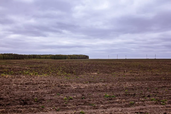 Őszi Mezők Kurgan Régióban Vidéki Táj Kora Ősszel Oroszországban — Stock Fotó