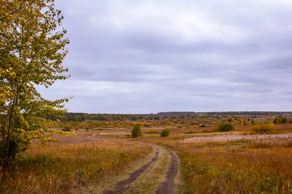 Straßen Der Region Kurgan Schotterpisten Auf Den Herbstfeldern Russland — Stockfoto