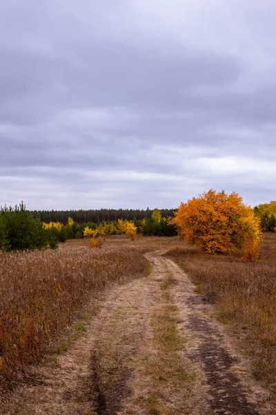 Straßen Der Region Kurgan Schotterpisten Auf Den Herbstfeldern Russland — Stockfoto