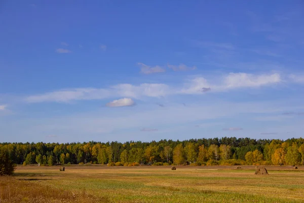 Herbstbewachsenes Feld Herbstlandschaft Ural Stadtbezirk Schadinsk Region Kurgan Russland — Stockfoto