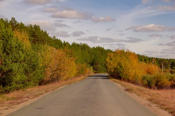 Autumn Road Mylnikovo Road Village Mylnikovo Shadrinsky District Kurgan Region — Stock Photo, Image