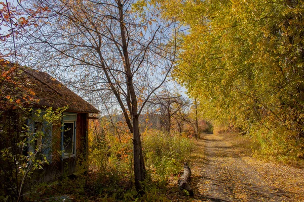 Opuštěný Vesnický Dům Podzimních Houštinách Podzimní Stromy Trosky Malého Dřevěného — Stock fotografie