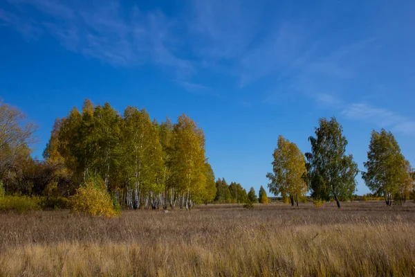 Paisajes Otoñales Los Urales Siberia Campos Arboledas Otoño Región Kurgan — Foto de Stock