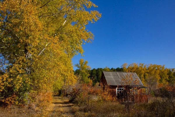 Una Casa Pueblo Abandonada Los Matorrales Otoño Árboles Otoño Las — Foto de Stock