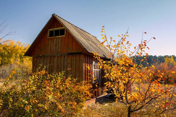 Ein Verlassenes Dorfhaus Herbstlichen Dickicht Herbstbäume Und Die Ruinen Eines — Stockfoto