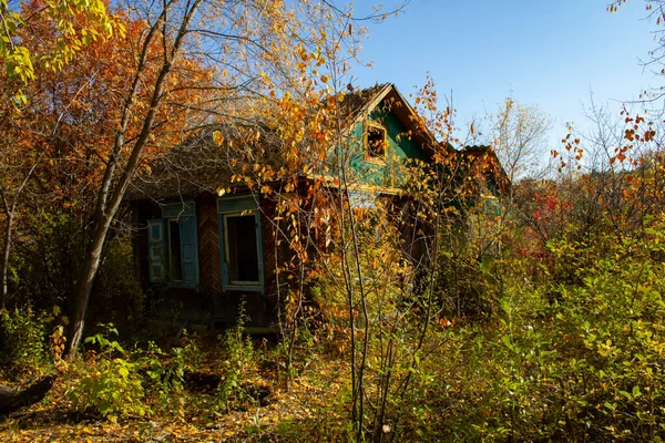 Una Casa Pueblo Abandonada Los Matorrales Otoño Árboles Otoño Las — Foto de Stock