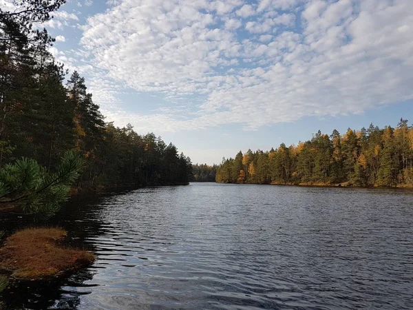 Sonbahar renklerinde ağaçlarla çevrili göl parçalı bulutlu gökyüzü.