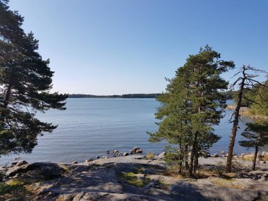 Yazın sonlarında deniz, kayalar ve ağaçlarla manzara.