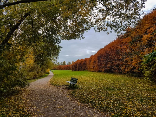 Bench Een Loopbrug Een Park Met Prachtige Herfstkleuren — Stockfoto