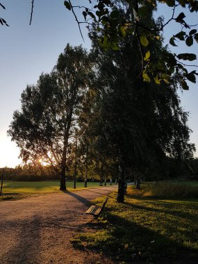 Gün batımında parkta bir bankta ve ağaçlarla kaplı bir yürüyüş alanında..
