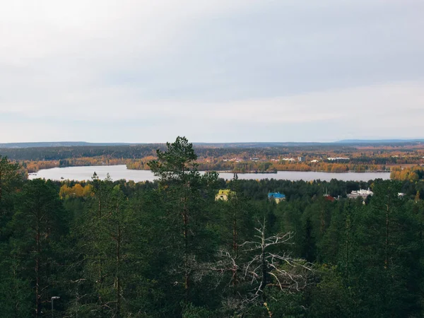Erdő Folyó Táj Egy Dombtetős Hegyről Rovaniemiben Finnországban — Stock Fotó