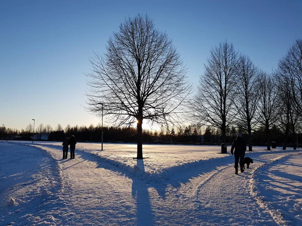Yılın ilk günü karlı bir parkta güneş bir ağacın arkasında parlıyor ve insanlar yürüyor..