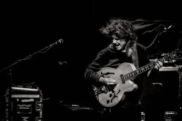 Pat Metheny Actuando Escenario Tivolivredenburg —  Fotos de Stock