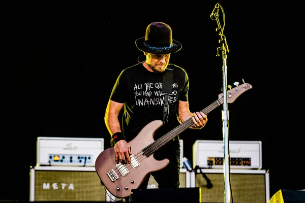 Pearl Jam Performing Concert Pinkpop June 2022 — 스톡 사진