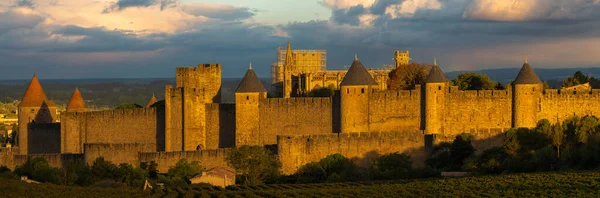 Carcassonne Erődítmény Falai Szőlőültetvényekről Nézve — Stock Fotó