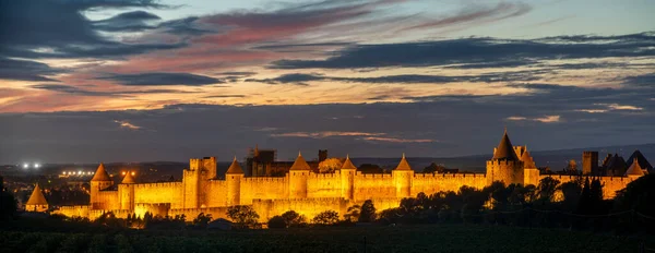 Világos Carcassonne Erődítmény Falai Városképet Körülvevő Szőlőültetvényekről — Stock Fotó
