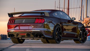 Mustang Shelby GT500-Classic American muscle car.	