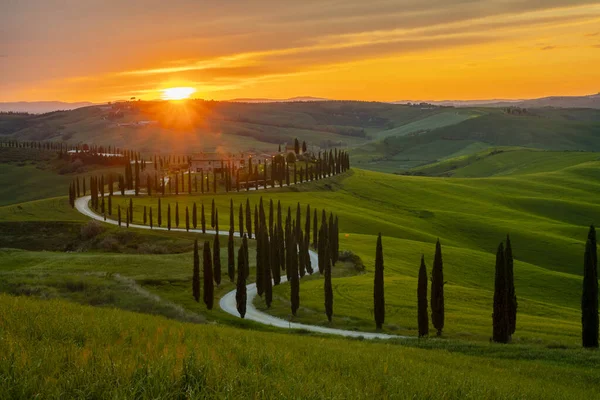 Espectacular Puesta Sol Sobre Hermoso Paisaje Creta Senesi Toscana — Foto de Stock