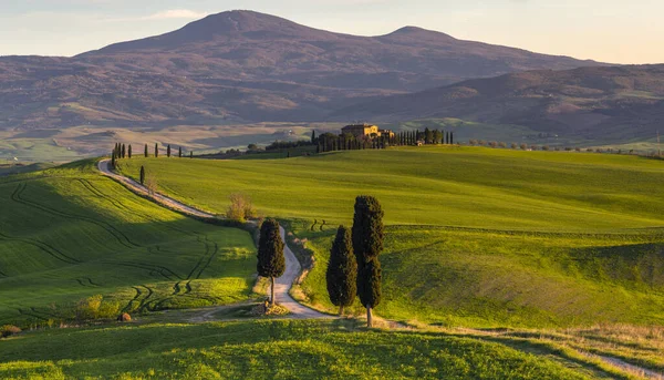 Famous Road Tuscany Val Orcia Valleys — Stock Photo, Image