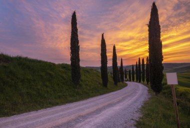 Tuscany 'de günbatımında selvi ağaçları olan çakıl yolu..