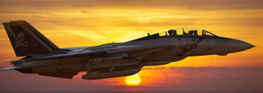 Efsanevi Grumman F-14 Tomcat. Dünyanın en ünlü dövüşçülerinden biri.