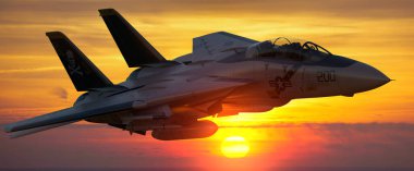 Efsanevi Grumman F-14 Tomcat. Dünyanın en ünlü dövüşçülerinden biri.