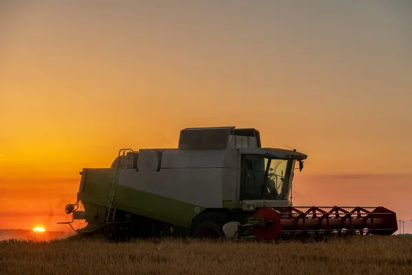 Harvest Field Combine Mowing Grain Sunset — Stok fotoğraf