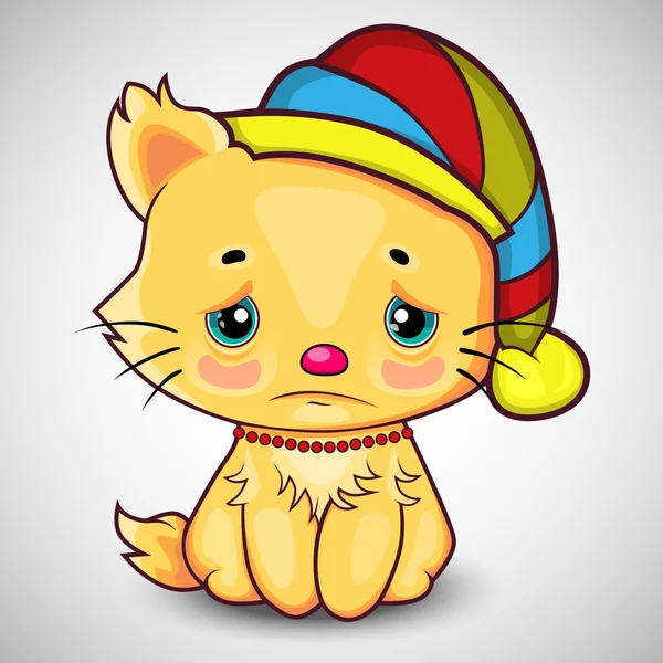 şapkalı şirin sarı kedi