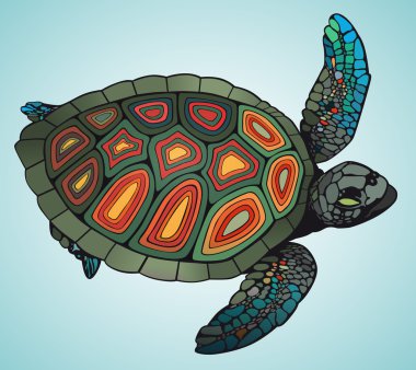 mavi arka plan üzerinde renkli kaplumbağa yüzüyor