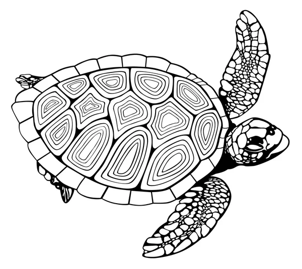 Coloring book turtle — Stock Vector