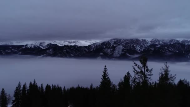 Flygfoto Över Bergen Täckt Med Snö Foggy Och Mörk Vinterdag — Stockvideo