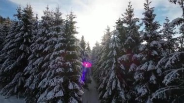 Karla kaplı kış ormanının hava destansı manzarası ve güzel ışık sızıntıları. Dağlarda kar beyazı bir kış. Güneşli bir günde karla kaplı çam ağaçları ve dağ zirveleri