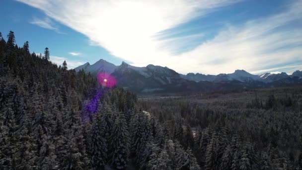 Luchtfoto Episch Uitzicht Bergen Winterbos Bedekt Met Sneeuw Prachtige Lichte — Stockvideo