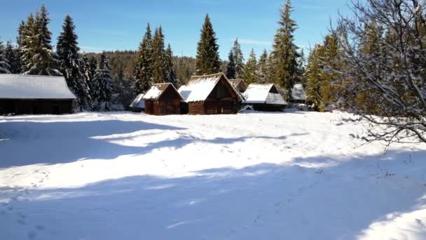 山の中で雪の空中ビュー小屋キャップ 雪の白い冬の風景や壮大な光漏れ 冬の森の真ん中にある美しい山のシャレーやキャビンは雪で覆われています 壮大な冬の風景 — ストック動画