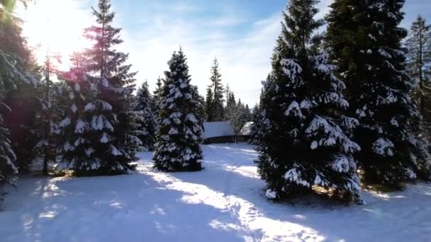 山の中で雪の空中ビュー小屋キャップ 雪の白い冬の風景や壮大な光漏れ 冬の森の真ん中にある美しい山のシャレーやキャビンは雪で覆われています 壮大な冬の風景 — ストック動画