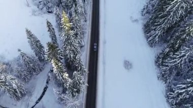 Kış aylarında dağlık yol manzarası ve araba sürüşü. Efsanevi, karlı beyaz kış ve karlı orman. Donmuş orman ve lüks sedan boyunca yol.