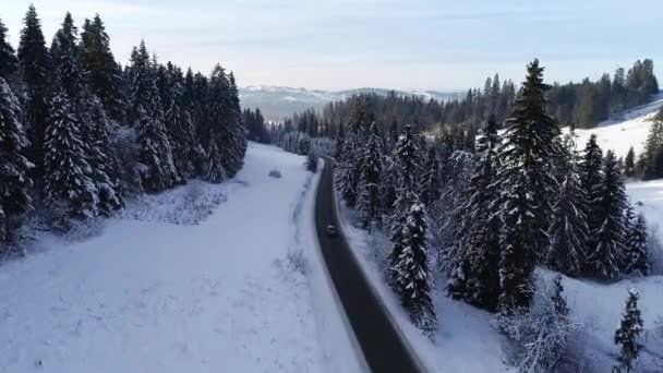 冬と運転車の中で山の曲がりくねった道の空中ビュー 叙事詩 雪の白い冬と雪の森のキャップ 凍った森と豪華なセダンを通って道路 — ストック動画