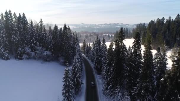 Vista Aérea Estrada Montanha Torcida Inverno Carro Condução Inverno Branco — Vídeo de Stock