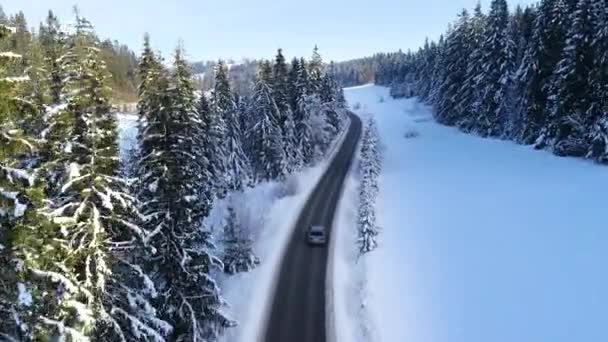 冬と運転車の中で山の曲がりくねった道の空中ビュー 叙事詩 雪の白い冬と雪の森のキャップ 凍った森と豪華なセダンを通って道路 — ストック動画