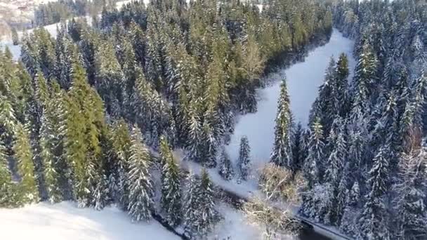 Luchtfoto Van Bergachtige Kronkelweg Winter Rijdende Auto Epische Besneeuwde Witte — Stockvideo