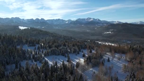 겨울의 하늘을 배경으로 눈덮인 풍경을 공중에서 수있다 테트라 지대와 마법같은 — 비디오