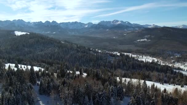 Montanhas Inverno Vista Aérea Vista Aérea Paisagem Montanhosa Coberta Neve — Vídeo de Stock