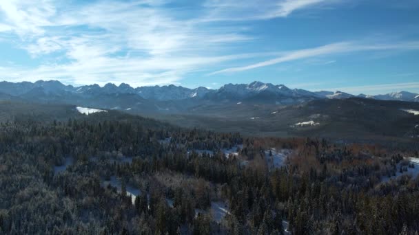 Montanhas Inverno Vista Aérea Vista Aérea Paisagem Montanhosa Coberta Neve — Vídeo de Stock