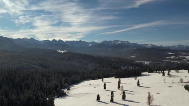 Montanhas Inverno Vista Aérea Vista Aérea Paisagem Montanhosa Coberta Neve — Vídeo de Stock