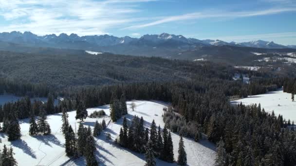 Montanhas Inverno Vista Aérea Vista Aérea Paisagem Montanhosa Coberta Neve — Vídeo de Stock